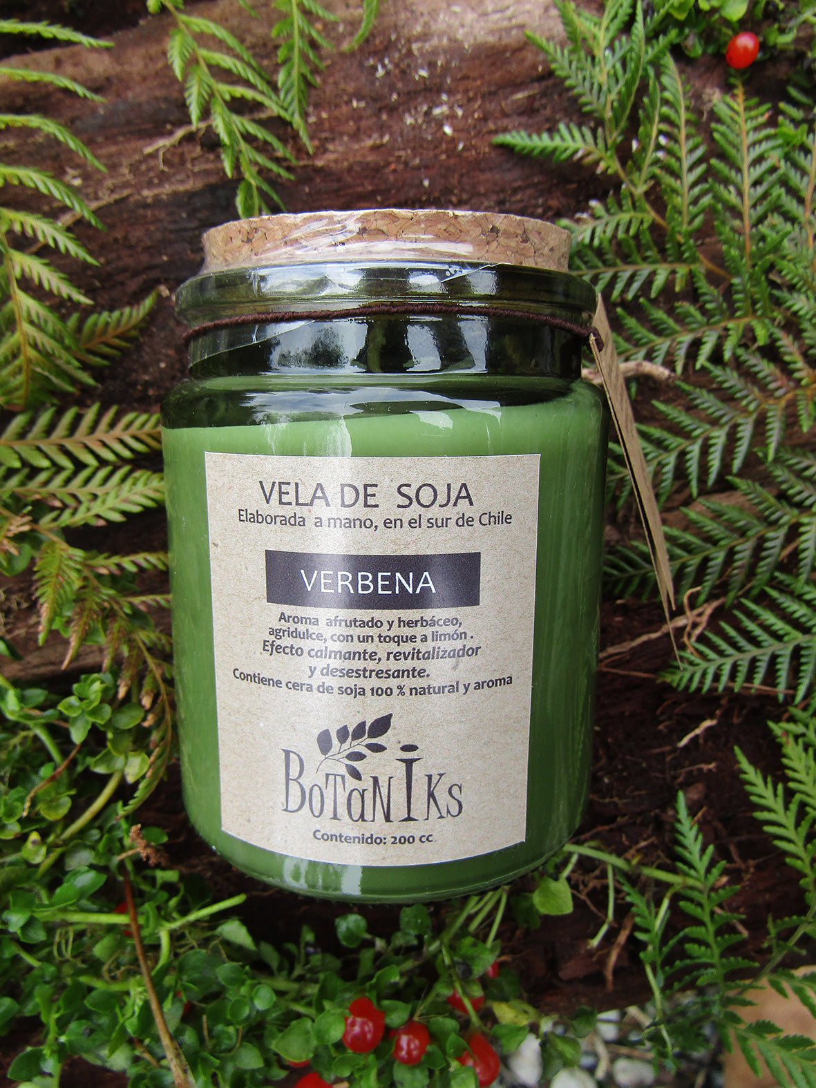 Vela de Soja