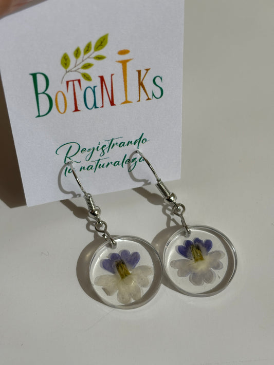 Aros de flores prensadas II