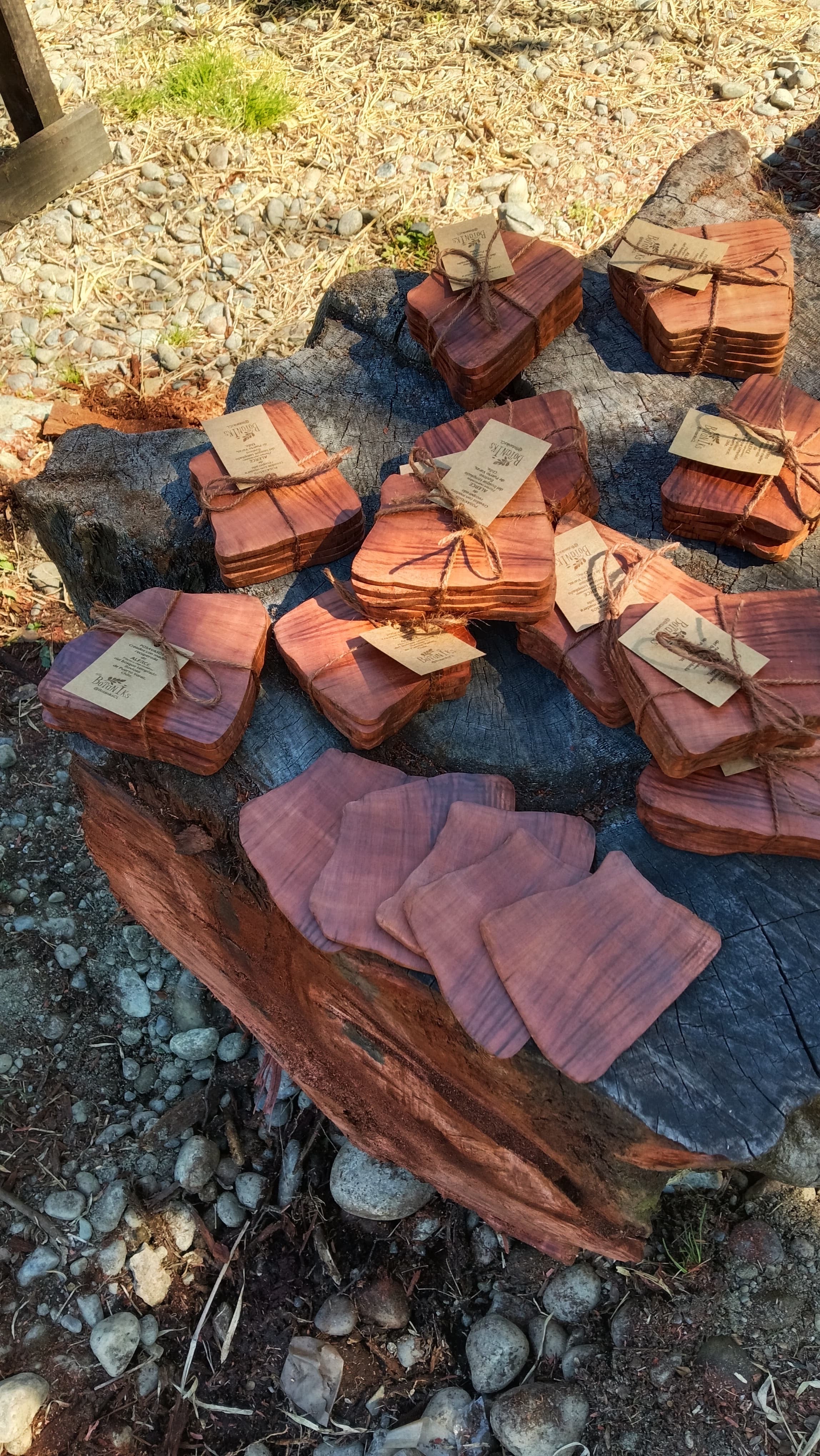 Posavasos madera Alerce