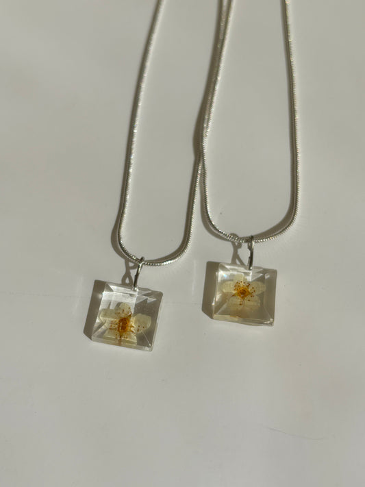 Colección día de la mamá I