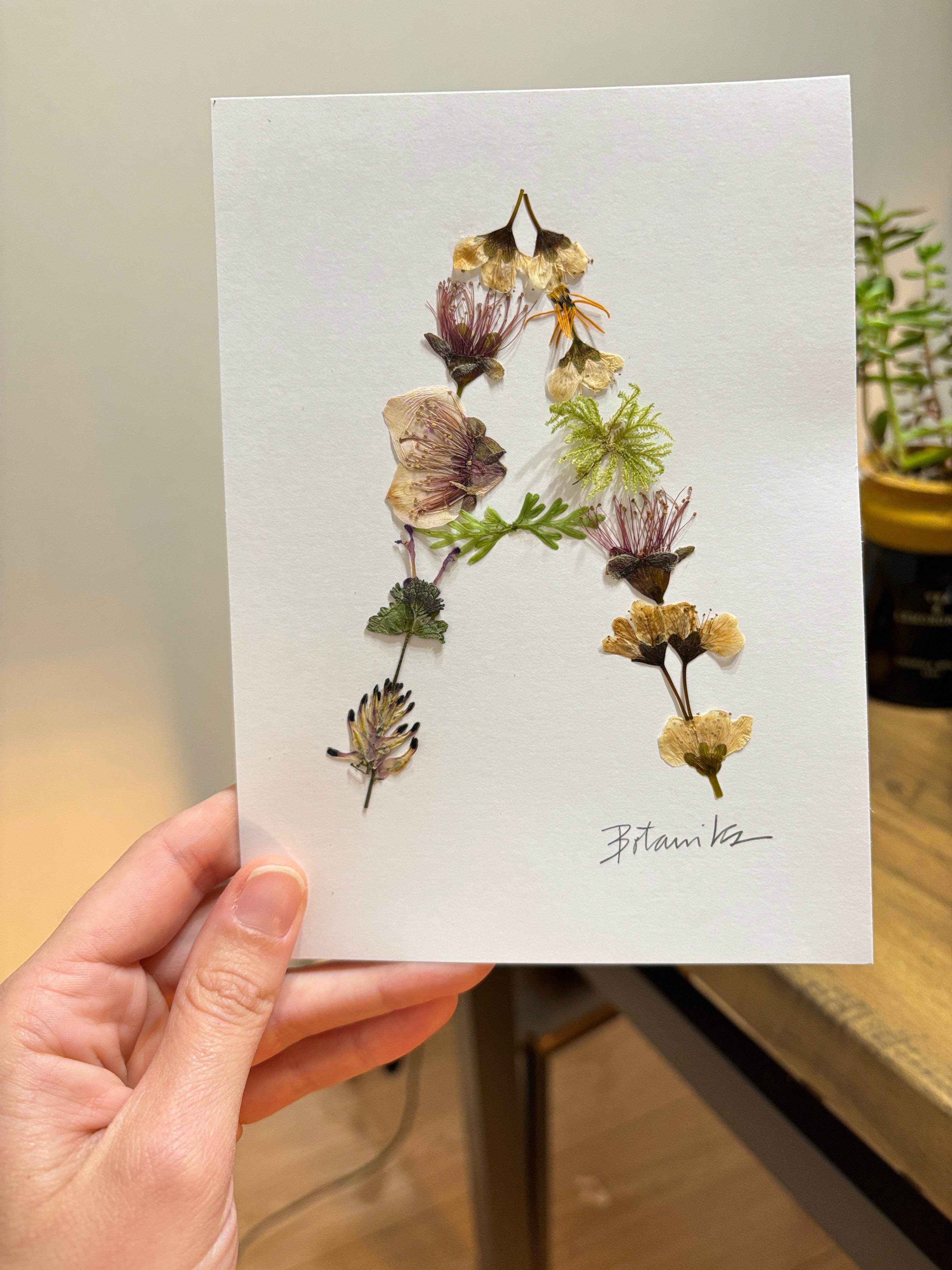 Cuadro letra A con flores prensadas