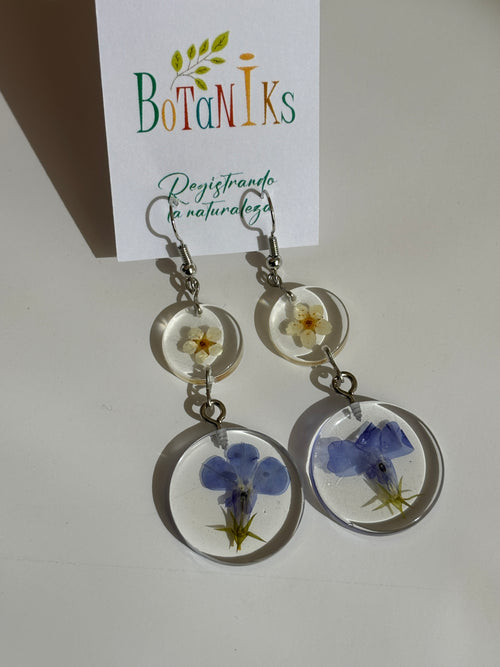 Aros de flores prensadas