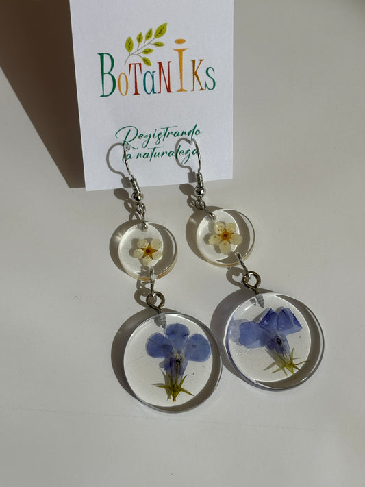 Aros de flores prensadas
