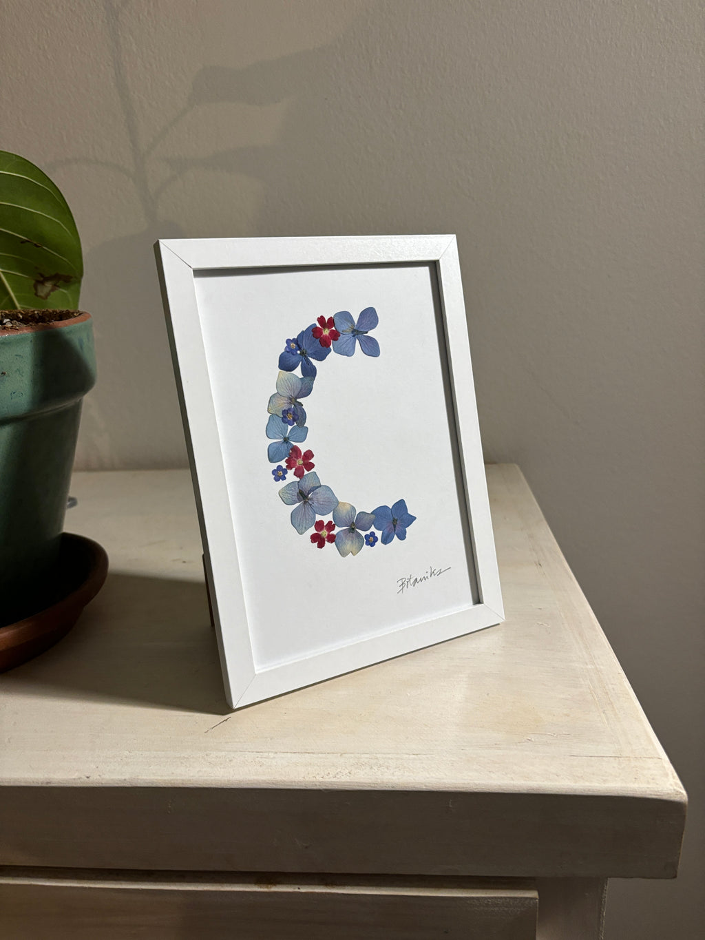 Cuadro letra C con flores prensadas