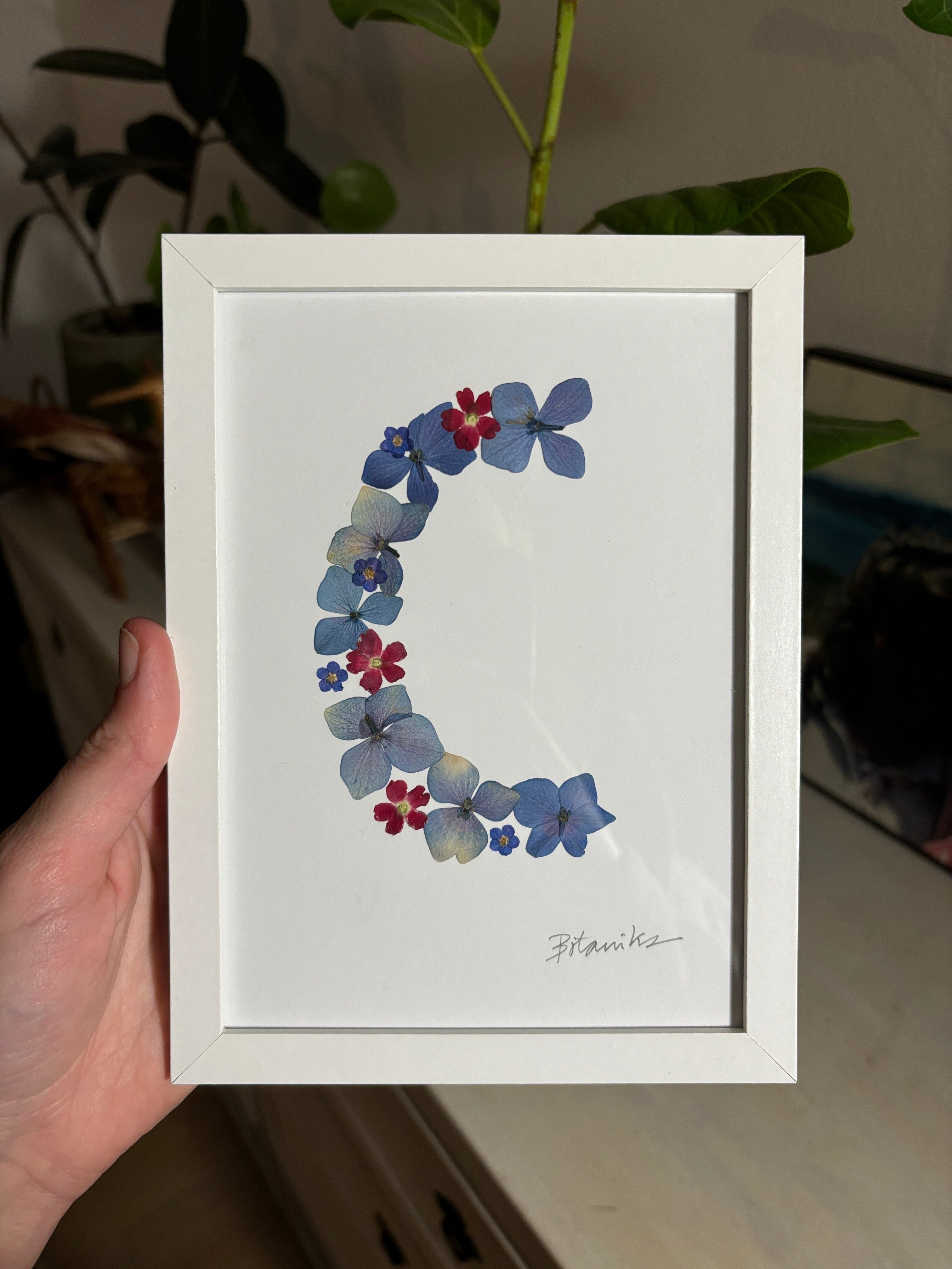 Cuadro letra C con flores prensadas