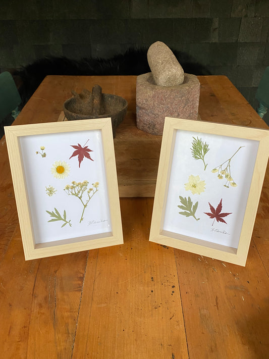 Colección N°8 - Dos cuadros con flores prensadas