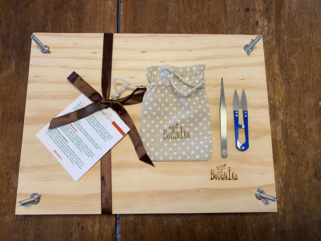 Kit de prensado botánico 38 x 28 cm