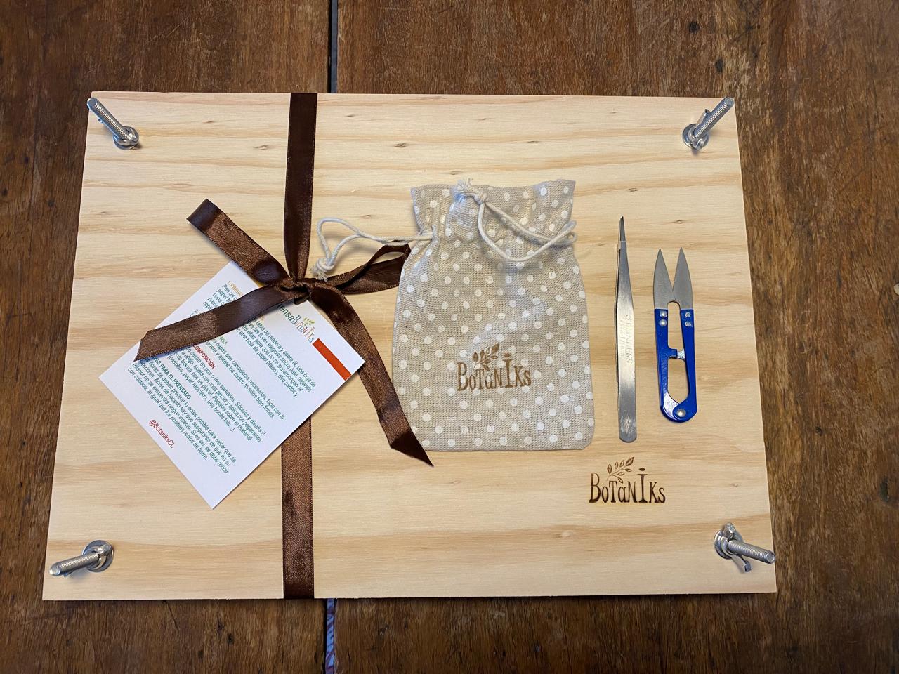 Kit de prensado botánico 38 x 28 cm