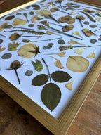 Cuadro Flores Prensadas - RAMO DE NOVIA