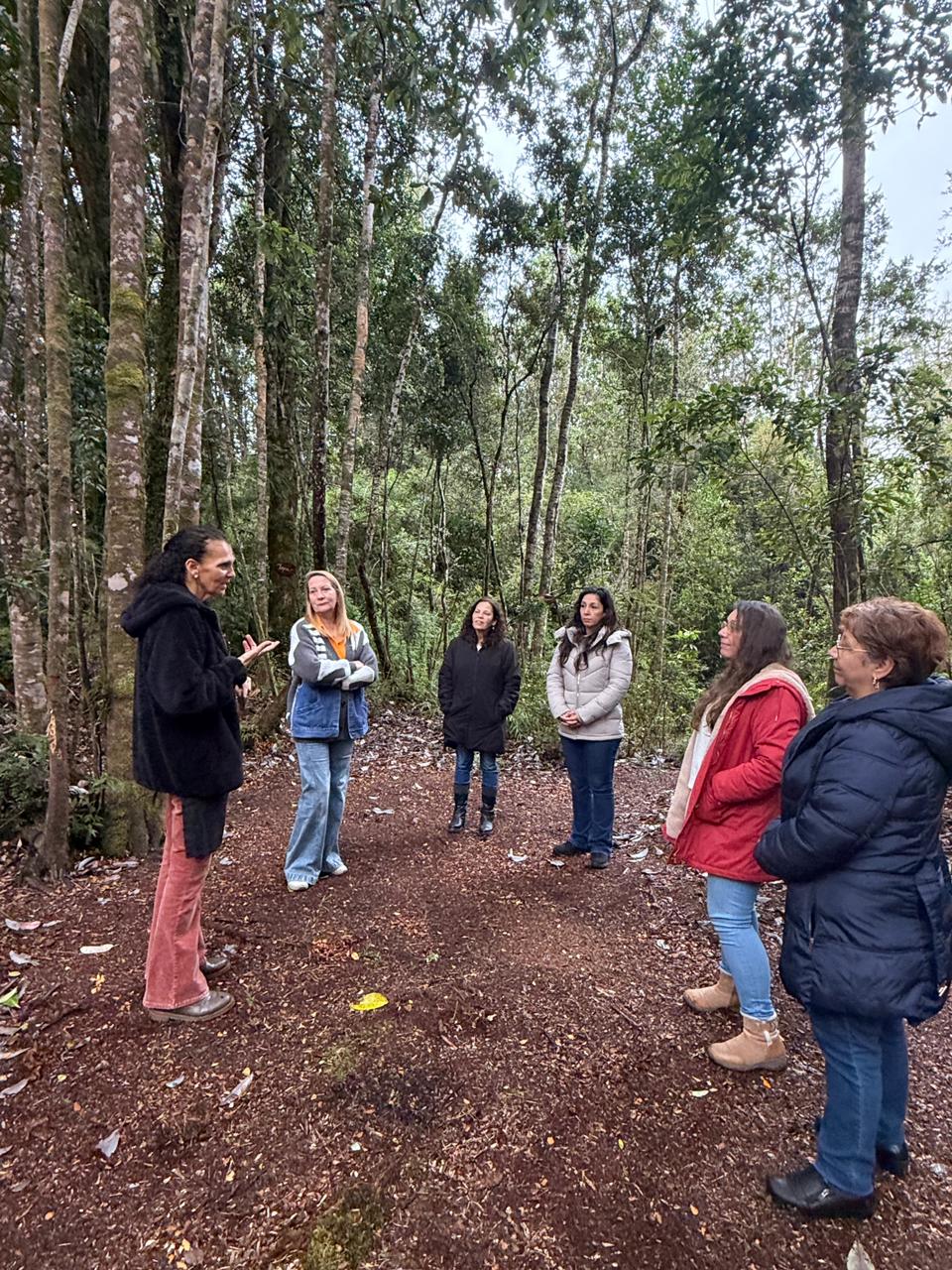 Taller de Elaboración de Velas de Soja