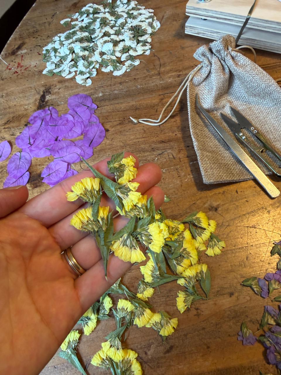 Taller de Prensado y Composición Botánica