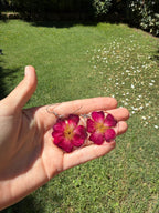 Aros de flores prensadas